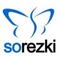 Speed Up Your SEO Activities with Sorezki SEO Plus