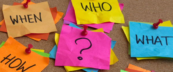 ask questions